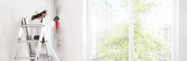 Best Mold Removal for HVAC Installations  in Blakely, GA