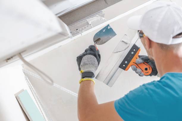 Best Environmental Consulting for Mold Prevention  in Blakely, GA